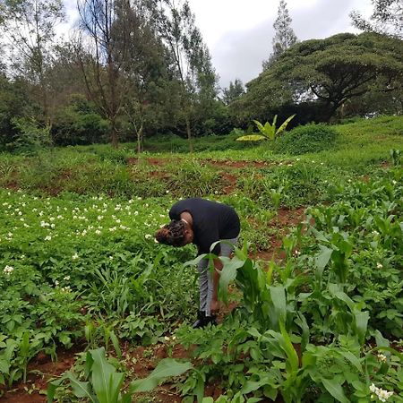 Karen Little Paradise Nairobi Dış mekan fotoğraf