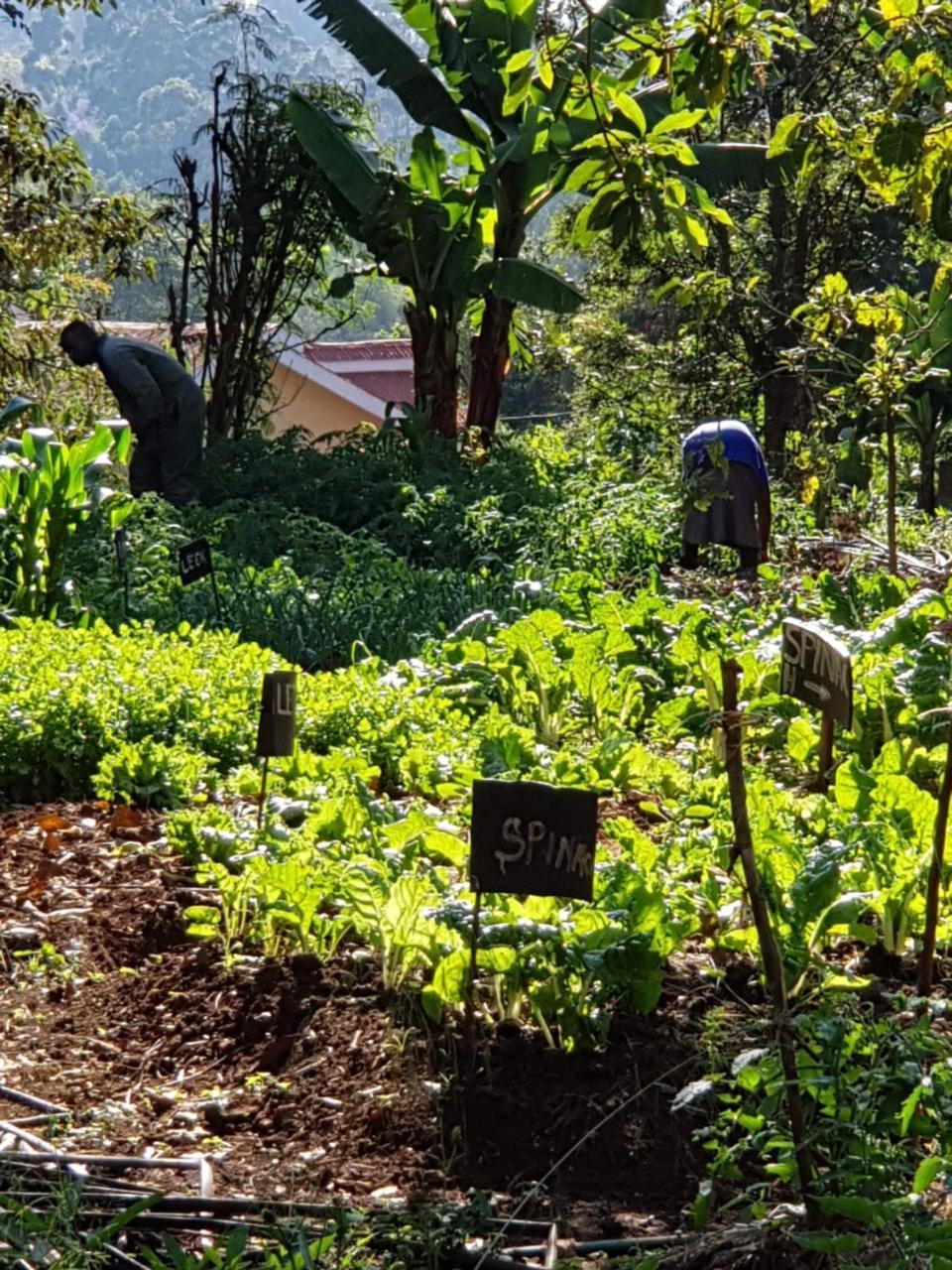 Karen Little Paradise Nairobi Dış mekan fotoğraf